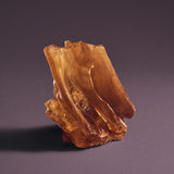 Carmina