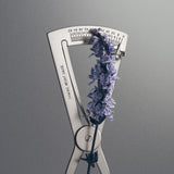 Iris Debonair