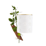 Creed Birmanie Oud Candle ingredients