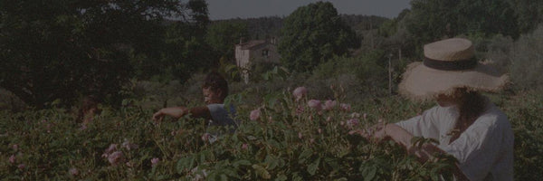 La Vie En Rose