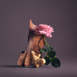 Oud Zarian