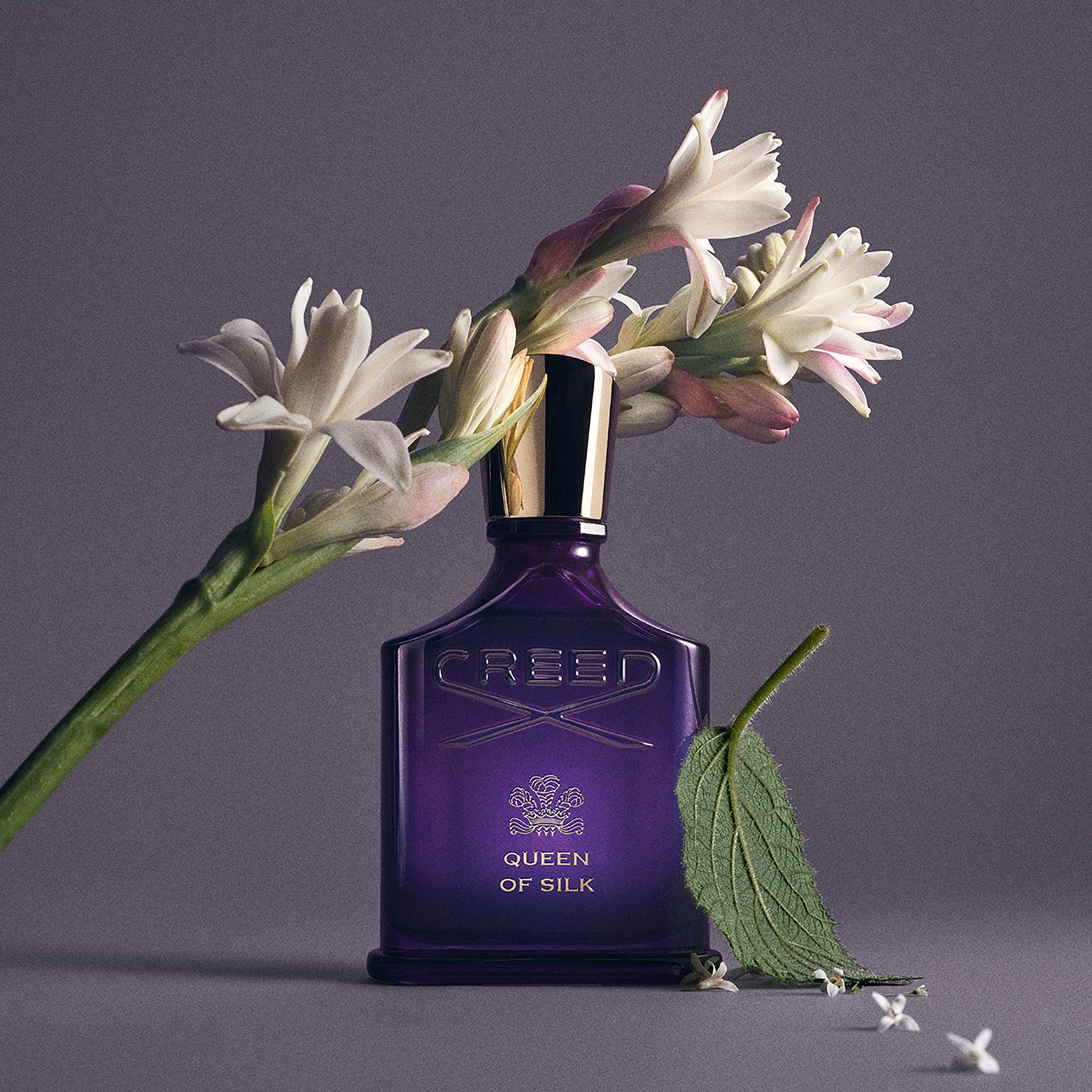 Queen of Silk | Shop Creed Perfume Online | Creed Australia