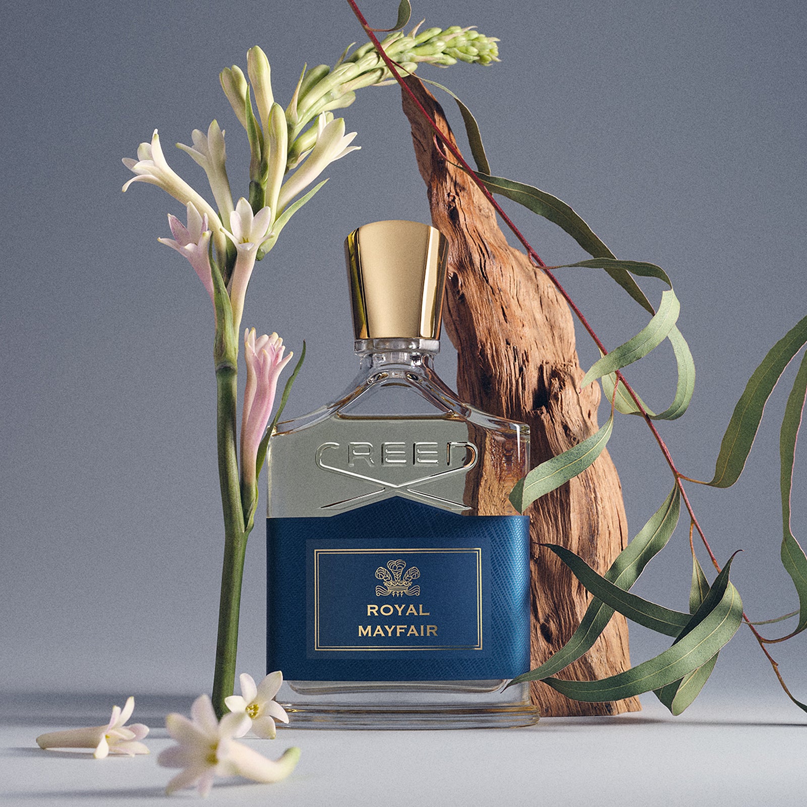 Royal Mayfair | Shop Creed Perfume Online | Creed Australia