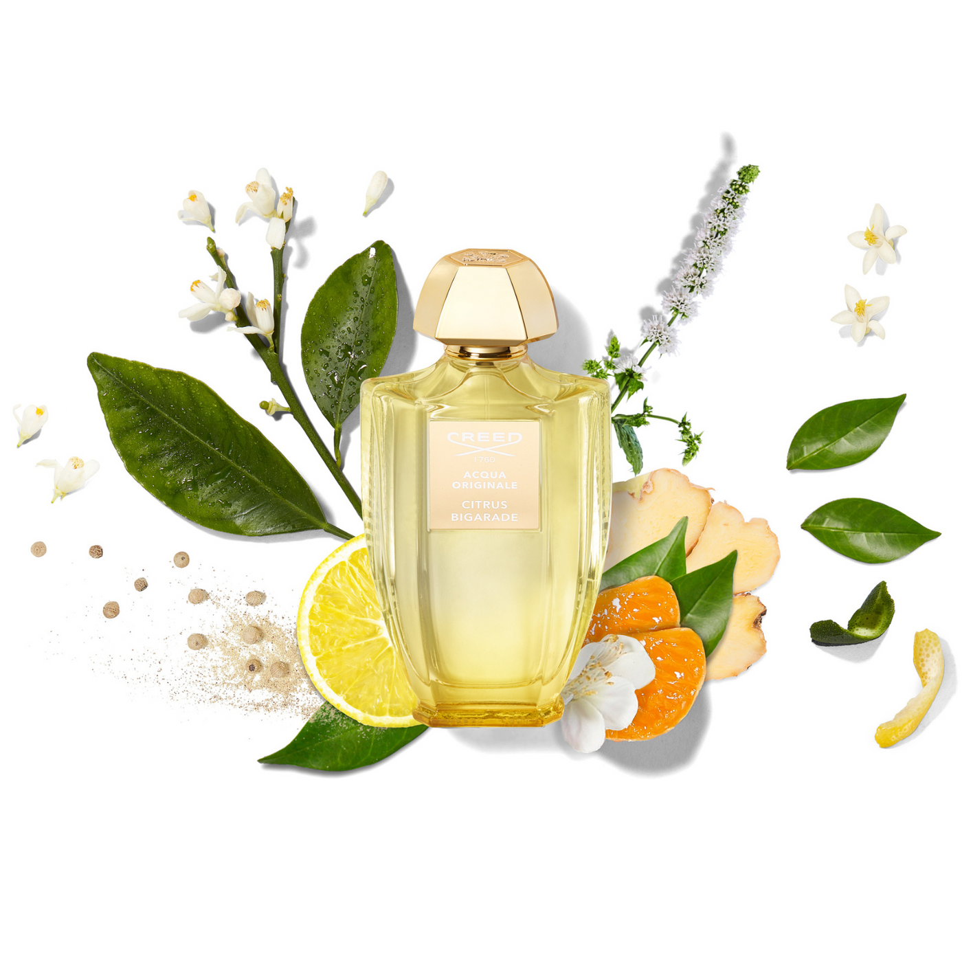 Citrus Bigarade | Shop Creed Perfume Online | Creed Australia